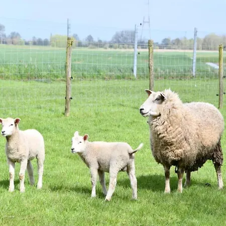 Διαμέρισμα In By The North Sea *
