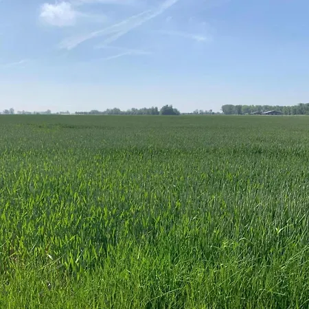 In By The North Sea Apartment Nieuwpoort