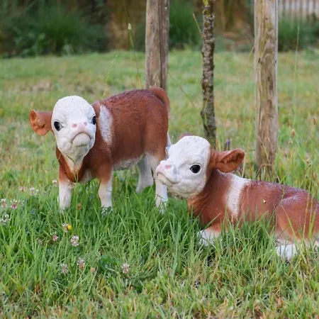 Apartment In By The North Sea Nieuwpoort