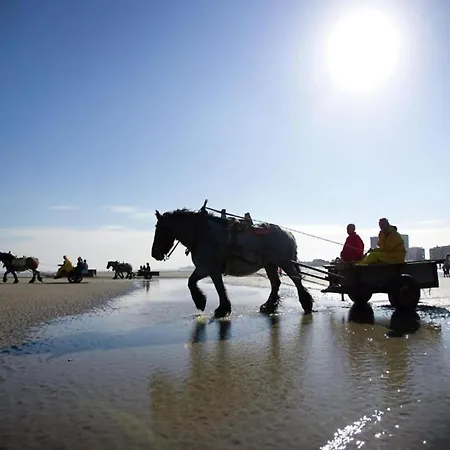 In By The North Sea Nieuwpoort