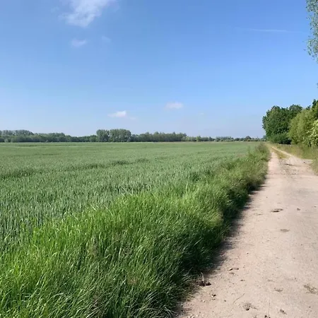 In By The North Sea *