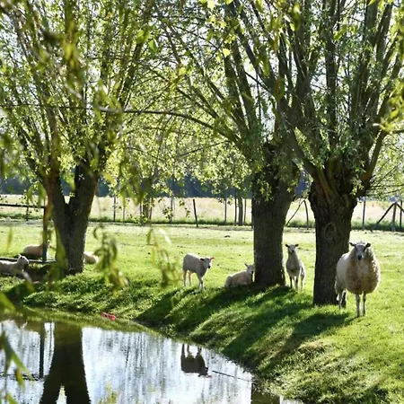 In By The North Sea * Nieuwpoort